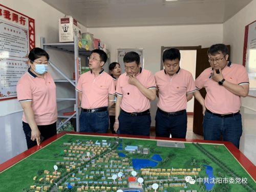 避雷吃瓜到自己,揭秘网络时代的娱乐新趋势