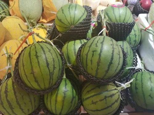 橡皮料吃瓜,一场与吃瓜的奇妙邂逅