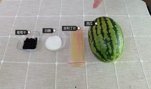 论技术吃瓜,揭秘网络时代的“技术吃瓜”现象