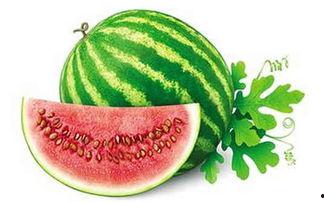 冬日星河吃瓜,揭秘娱乐圈的甜蜜瓜田