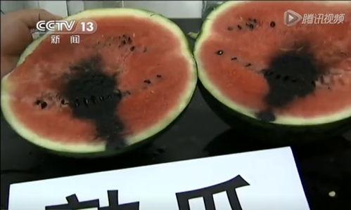 吃豹纹瓜的视频,一场视觉与味觉的双重盛宴