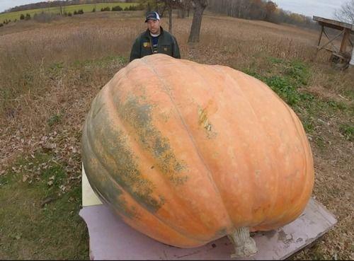 吃瓜得吐皮,揭秘娱乐圈的甜蜜与苦涩