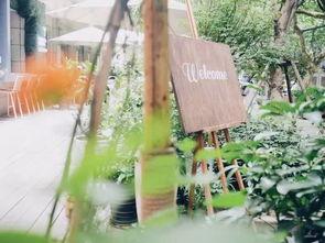 吃瓜吃瓜家有梧桐树自有凤凰栖,家族传承与时代精英的共鸣