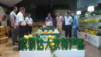 会昌吃瓜事件,一场网络狂欢背后的真相与反思