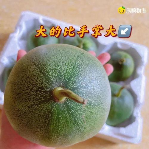 大辰吃瓜,揭秘娱乐圈幕后故事