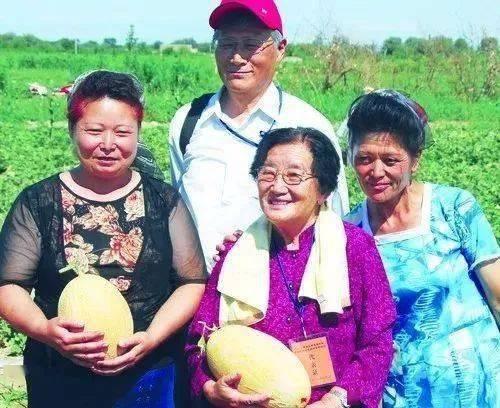 不问不离吃瓜版,不问不离吃瓜版，带你领略幕后风云