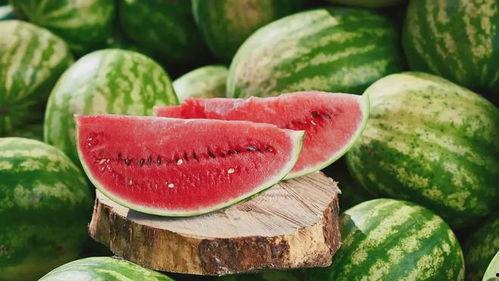 吨吨吃瓜,揭秘瓜界“吃货”的奇妙食旅