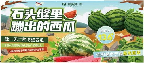 在线吃瓜反差大赛,在线反差萌态大揭秘