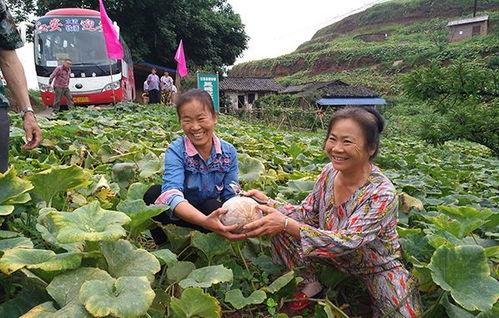 江晴朗吃瓜,揭秘娱乐圈幕后真相