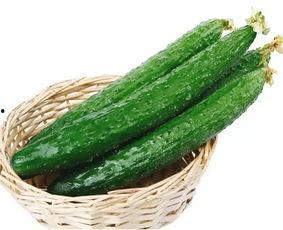 杜绝吃假瓜,守护食品安全防线