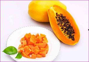 吃瓜歌木瓜,探寻瓜果文化与流行音乐的奇妙交融