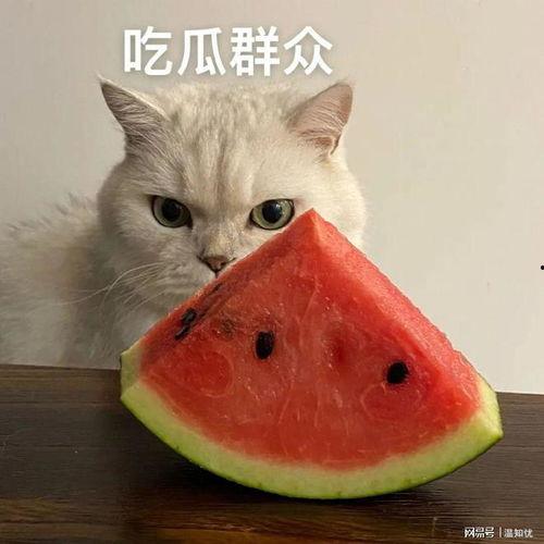 稀碎吃瓜,揭秘娱乐圈幕后故事