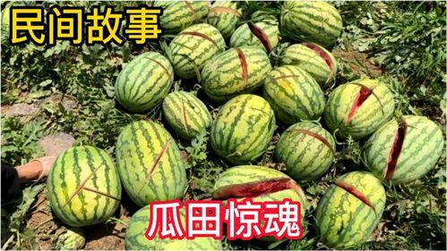 开窗吃瓜恐怖故事,一幕开窗吃瓜的恐怖夜谈