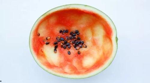 吃瓜小勺子吃的说说图片,吃瓜小勺子的趣味瞬间