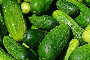 孕妇梦见吃翠瓜,翠瓜预示着什么美好寓意？