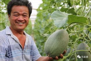 吃瓜大王82475,瓜界传奇的崛起之路