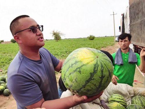 杠杆吃瓜哪集,揭秘神秘事件背后的真相