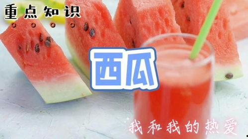 吃瓜看戏必不可少,揭秘娱乐圈幕后风云