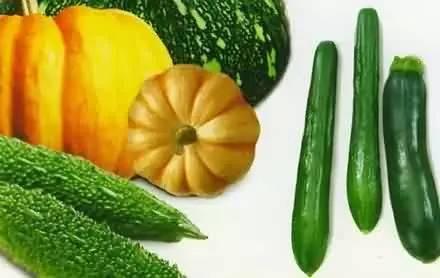 什么吃瓜吞吐,网络舆论场中的狂欢与反思