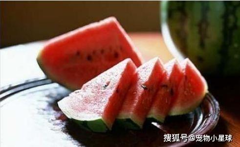 老田在线吃瓜,揭秘娱乐圈幕后故事