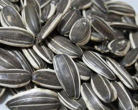 拿瓜子吃瓜照片大全,趣味瞬间大盘点