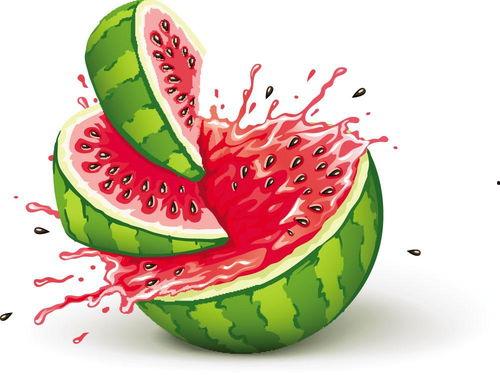 人生乐趣吃瓜,探寻人生乐趣的甜蜜诱惑