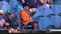 吃瓜解说员,吃瓜解说员带你领略娱乐圈风云变幻