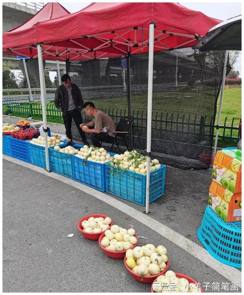 温州学子广场吃瓜,瓜香四溢，青春盛宴