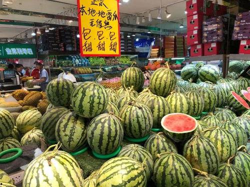 温州学子广场吃瓜,瓜香四溢，青春盛宴