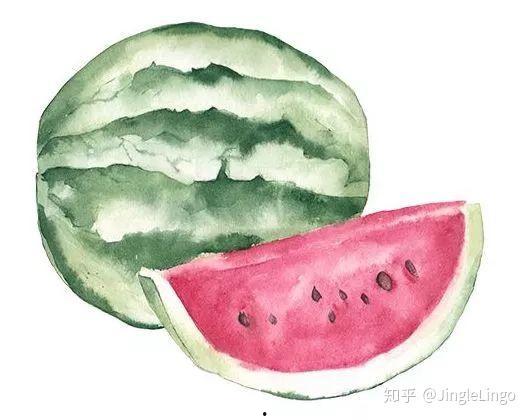 吃瓜该怎样切,探索最佳吃瓜切法，解锁夏日美味新境界