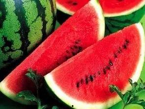 吃瓜西瓜西瓜,揭秘“吃瓜西瓜西瓜”的神奇魅力