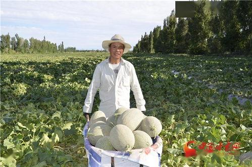 瓜州吃瓜甘肃酒泉,甘肃风情尽享之旅