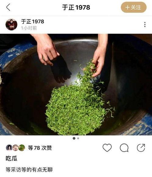 吃瓜YYZ,网络红人的崛起与影响力