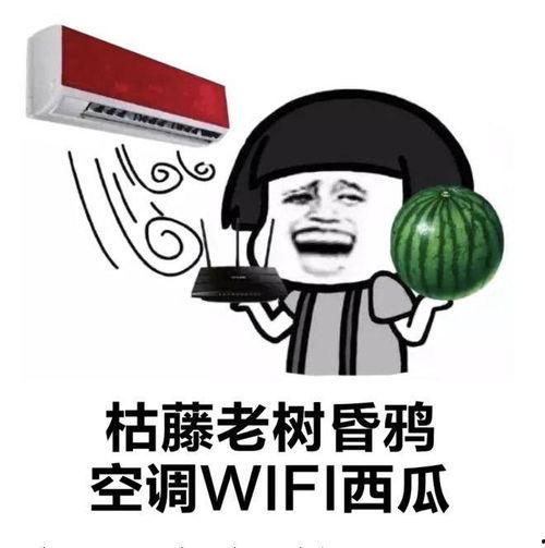 老外羡慕中国吃瓜,老外眼中的独特魅力