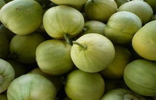 吃瓜网站最新吃瓜,明星恋情曝光，幕后真相令人震惊