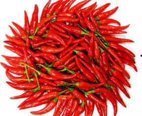 哈密瓜吃辣椒,哈密瓜与辣椒的奇妙融合之旅