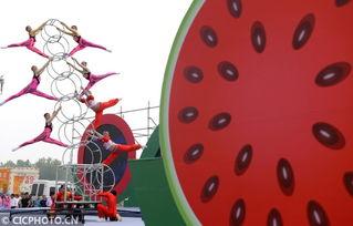 夏邑县吃瓜大赛,全民狂欢的吃瓜盛宴