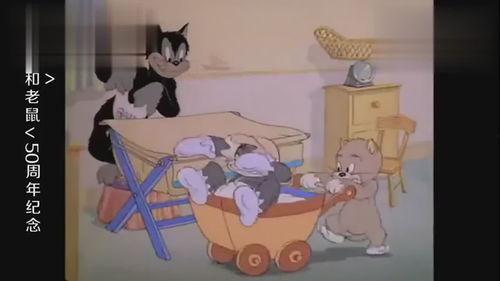 猫和老鼠汤姆吃瓜,汤姆猫的夏日瓜果盛宴