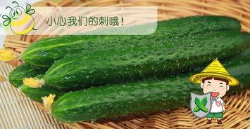 中央六台吃瓜,揭秘娱乐圈幕后真相