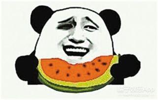 台湾贝贝吃瓜群众,揭秘娱乐圈幕后风云