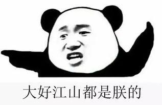 浙江吃瓜群众群,揭秘民间热点事件背后的真实故事