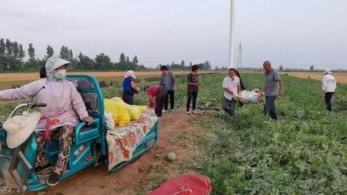 浙江吃瓜群众群,揭秘民间热点事件背后的真实故事