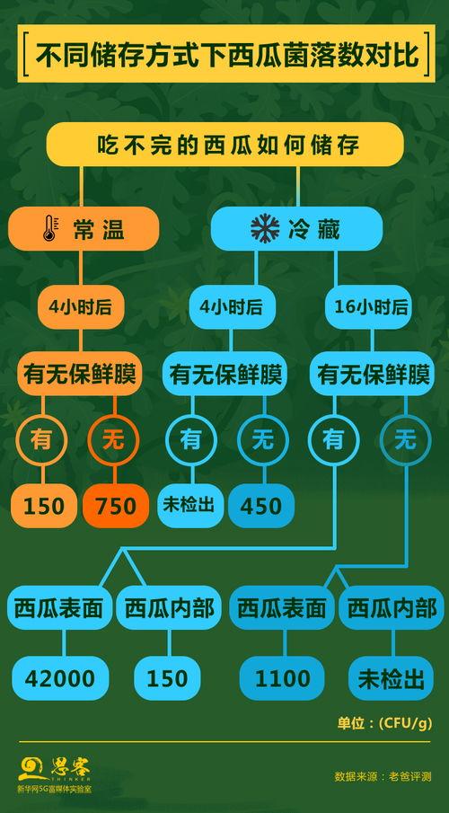 吃瓜换班简要概括