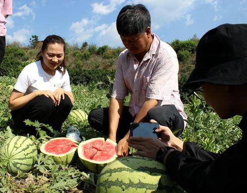 广西吃瓜群众,揭秘当地独特美食文化
