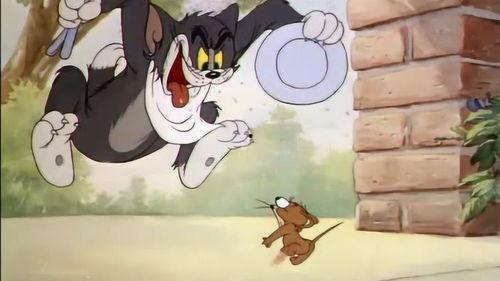 猫和老鼠汤姆吃瓜,汤姆猫的夏日瓜果盛宴