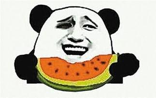 吃瓜没有,揭秘吃瓜背后的真相与趣味