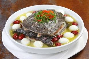 甲鱼冰冰吃瓜解读