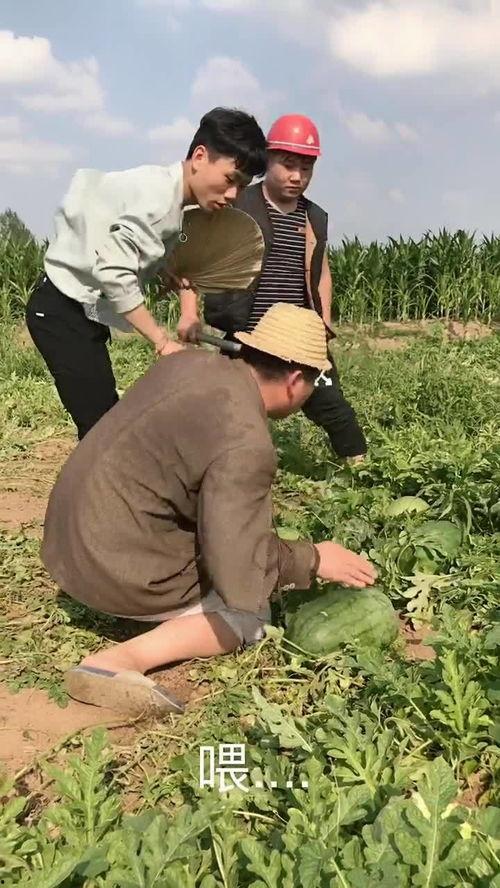 老大来了吃瓜视频,吃瓜现场一触即发！