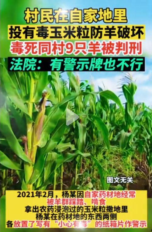 51吃瓜.funcom,funcom带你领略趣味生活瞬间