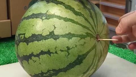 潍坊西城吃瓜事件,一场网络热议背后的真相探寻